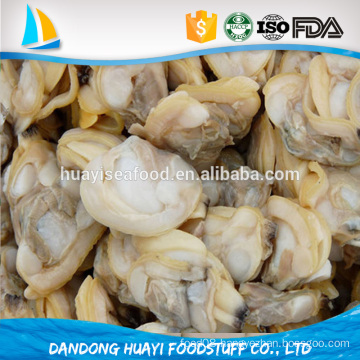 Frozen cooked sand out alive short necked clam meat